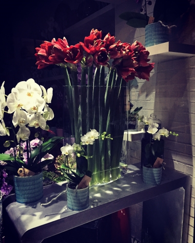 Décorations magasin